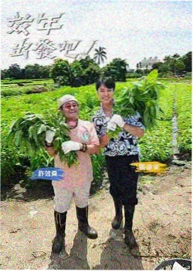山野厨房 综艺封面